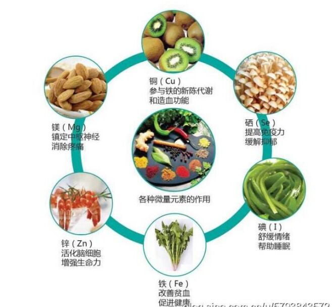 全自动绿巨人黄色视频下载分析头发检测的结果