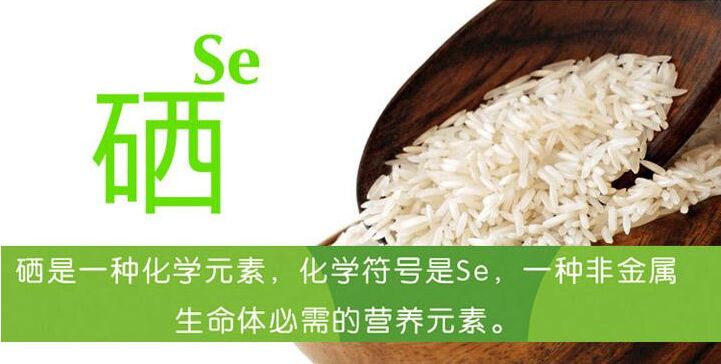 儿童成人APP绿巨人谈硒的摄入含量
