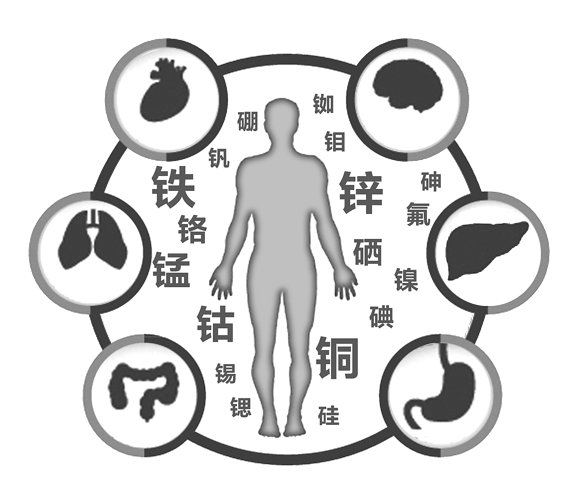 绿巨人黄色视频下载检查有必要吗 绿巨人黄色视频下载检查有必要吗