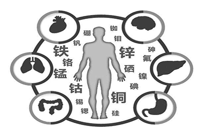 全自动成人APP绿巨人厂家微量元素在人体中起到哪些作用 全自动成人APP绿巨人厂家微量元素在人体中起到哪些作用