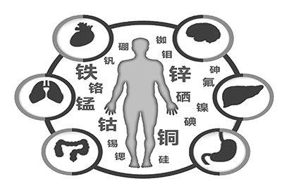 医用成人APP绿巨人微量元素是什么怎么补 医用成人APP绿巨人微量元素是什么怎么补