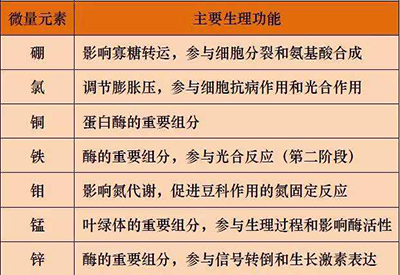 全自动成人APP绿巨人厂家微量元素的对人体的生理作用 全自动成人APP绿巨人厂家微量元素的对人体的生理作用