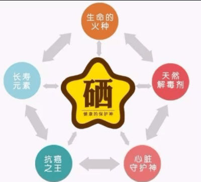 素分析仪,医用绿巨人黄色视频下载,人体微