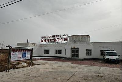 630国康快讯:庆祝全自动成人APP绿巨人在新疆白洋河畜牧卫生研究所成功安装
