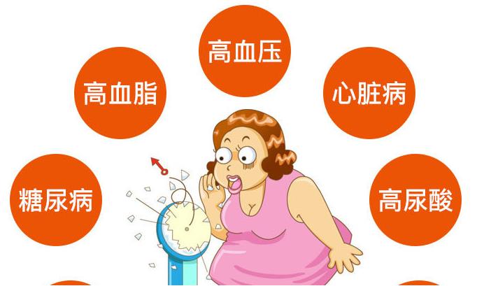 国康身高体重测量仪品牌揭秘肥胖对身体的十大危害!