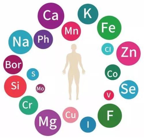 人体成人APP绿巨人资讯-为什么要检查微量元素?微量元素的检测原理是什么?
